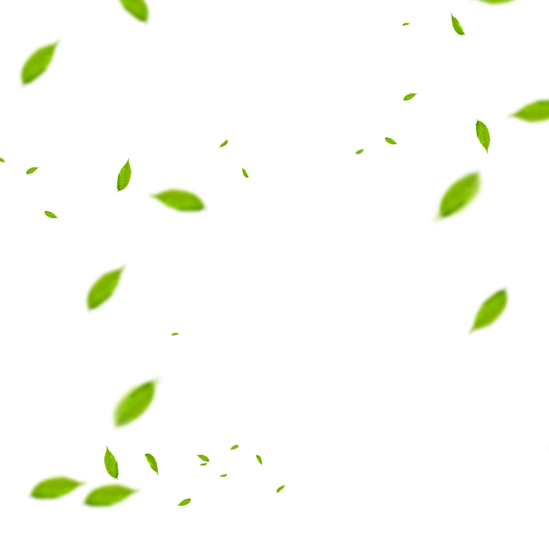 leaf